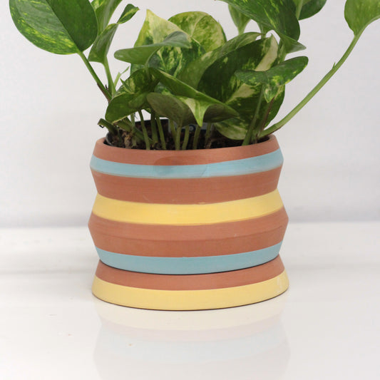 Medium Striped Planter w/ Drip Tray